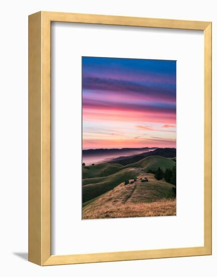 Colorful sunset with pink clouds on Mt. Tam in San Francisco with rolling, golden hills-David Chang-Framed Photographic Print