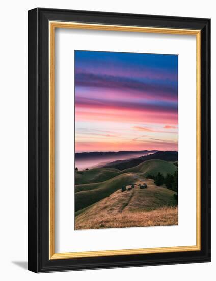 Colorful sunset with pink clouds on Mt. Tam in San Francisco with rolling, golden hills-David Chang-Framed Premium Photographic Print