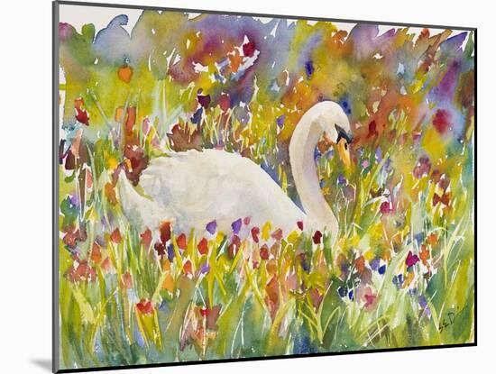 Colorful Swan-Sarah Davis-Mounted Giclee Print