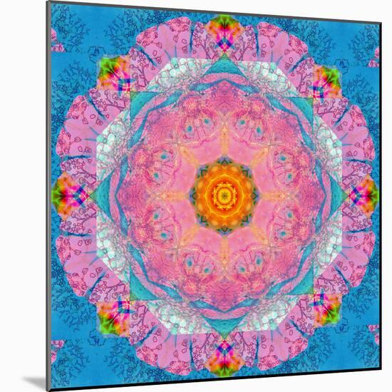 Colorful Symmetric Layer Work from Flowers-Alaya Gadeh-Mounted Photographic Print