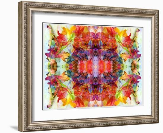 Colorful Symmetric Layer Work from Gladiolus Blossoms-Alaya Gadeh-Framed Photographic Print