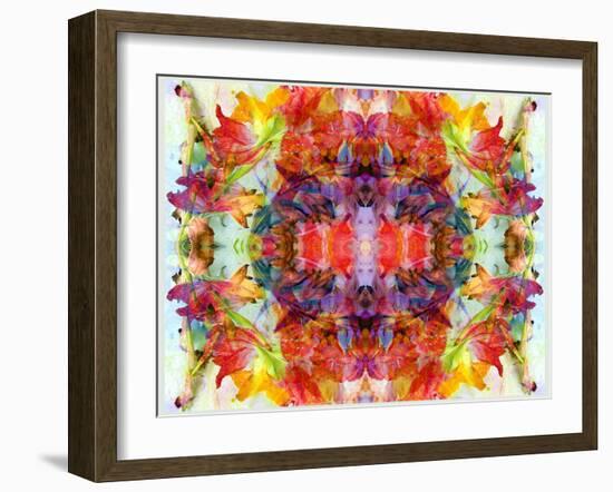 Colorful Symmetric Layer Work from Gladiolus Blossoms-Alaya Gadeh-Framed Photographic Print