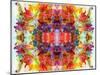 Colorful Symmetric Layer Work from Gladiolus Blossoms-Alaya Gadeh-Mounted Photographic Print
