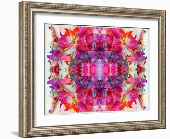 Colorful Symmetric Layer Work from Gladiolus Blossoms-Alaya Gadeh-Framed Photographic Print