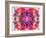 Colorful Symmetric Layer Work from Gladiolus Blossoms-Alaya Gadeh-Framed Photographic Print