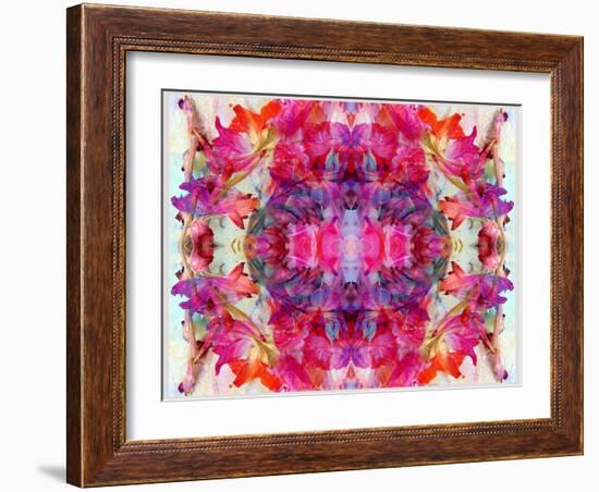 Colorful Symmetric Layer Work from Gladiolus Blossoms-Alaya Gadeh-Framed Photographic Print