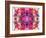 Colorful Symmetric Layer Work from Gladiolus Blossoms-Alaya Gadeh-Framed Photographic Print