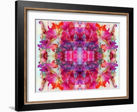 Colorful Symmetric Layer Work from Gladiolus Blossoms-Alaya Gadeh-Framed Photographic Print