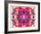 Colorful Symmetric Layer Work from Gladiolus Blossoms-Alaya Gadeh-Framed Photographic Print