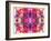 Colorful Symmetric Layer Work from Gladiolus Blossoms-Alaya Gadeh-Framed Photographic Print