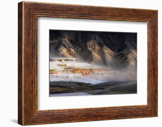 Colorful terrace, Canary Spring, Mammoth Hot Springs, Yellowstone National Park.-Adam Jones-Framed Photographic Print