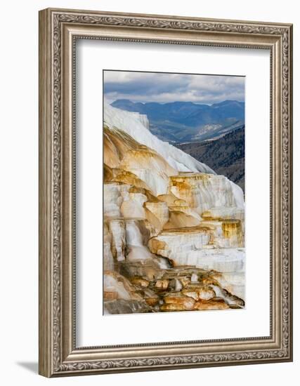 Colorful terrace, Canary Spring, Mammoth Hot Springs, Yellowstone National Park.-Adam Jones-Framed Photographic Print