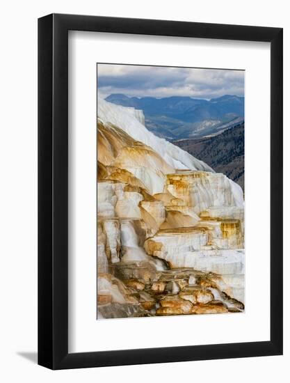 Colorful terrace, Canary Spring, Mammoth Hot Springs, Yellowstone National Park.-Adam Jones-Framed Photographic Print