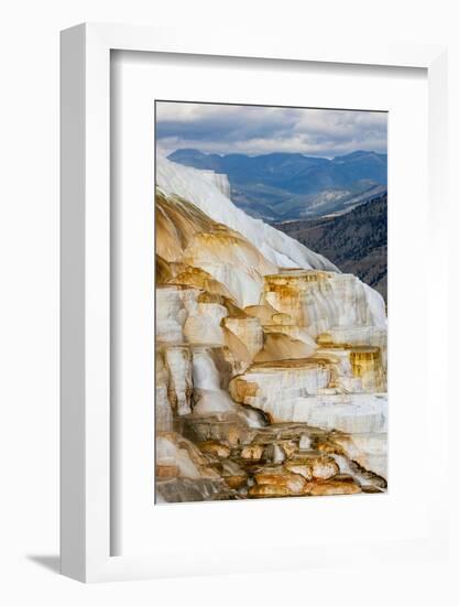 Colorful terrace, Canary Spring, Mammoth Hot Springs, Yellowstone National Park.-Adam Jones-Framed Photographic Print