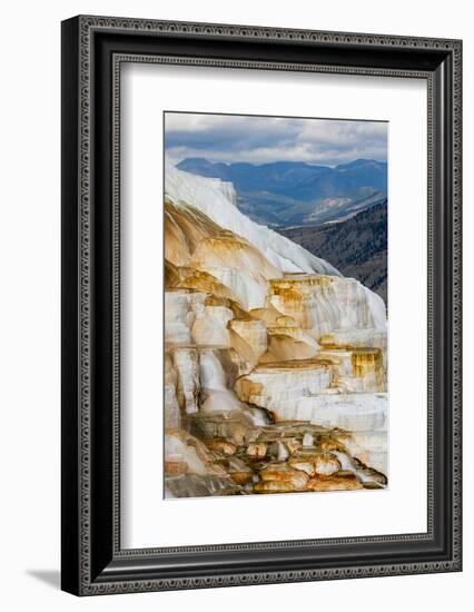 Colorful terrace, Canary Spring, Mammoth Hot Springs, Yellowstone National Park.-Adam Jones-Framed Photographic Print