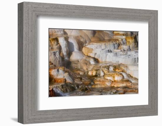 Colorful terrace, Canary Spring, Mammoth Hot Springs, Yellowstone National Park.-Adam Jones-Framed Photographic Print