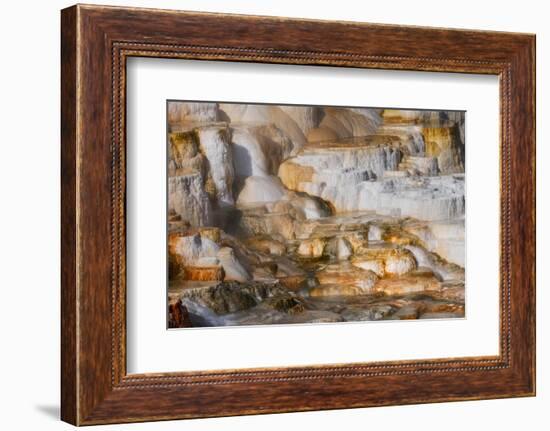 Colorful terrace, Canary Spring, Mammoth Hot Springs, Yellowstone National Park.-Adam Jones-Framed Photographic Print