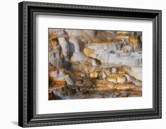 Colorful terrace, Canary Spring, Mammoth Hot Springs, Yellowstone National Park.-Adam Jones-Framed Photographic Print