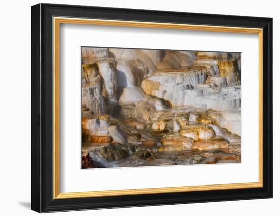 Colorful terrace, Canary Spring, Mammoth Hot Springs, Yellowstone National Park.-Adam Jones-Framed Photographic Print