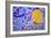 Colorful Tile Mosaic-null-Framed Photo