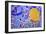 Colorful Tile Mosaic-null-Framed Photo