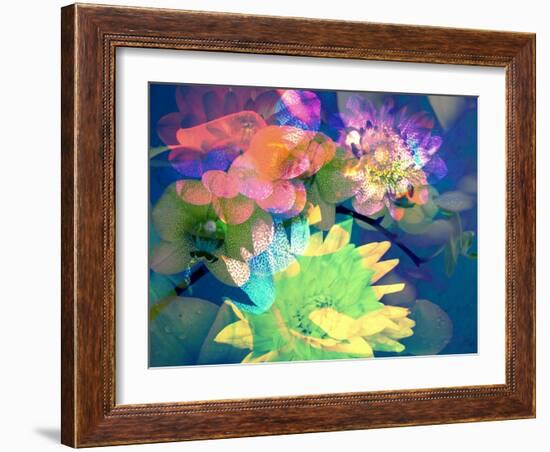 Colorful Translucent Layer Work from Orchid and Dahlia-Alaya Gadeh-Framed Photographic Print