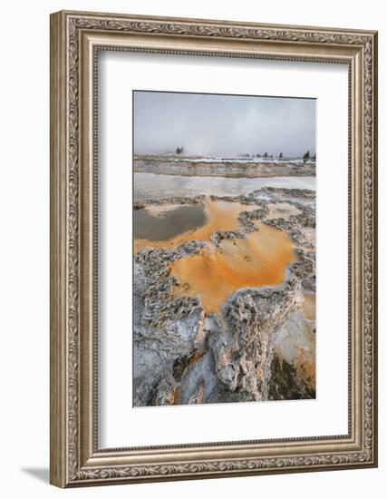 Colorful travertine formations at Great Fountain Geyser, Yellowstone National Park.-Alan Majchrowicz-Framed Photographic Print