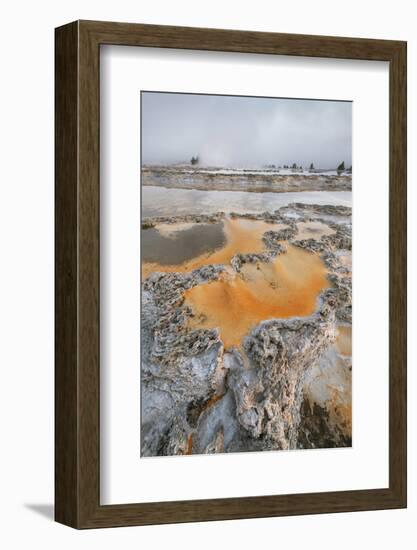 Colorful travertine formations at Great Fountain Geyser, Yellowstone National Park.-Alan Majchrowicz-Framed Photographic Print