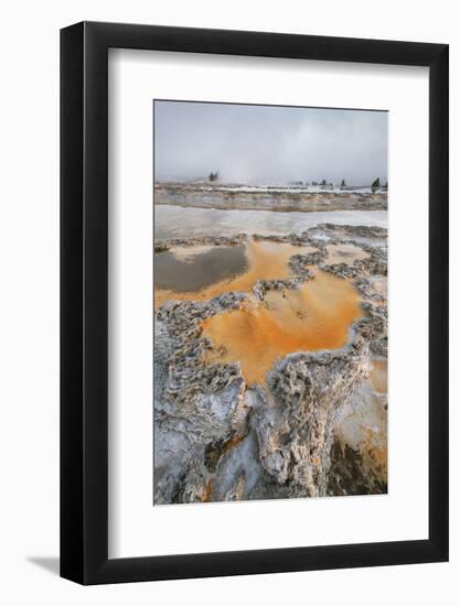 Colorful travertine formations at Great Fountain Geyser, Yellowstone National Park.-Alan Majchrowicz-Framed Photographic Print