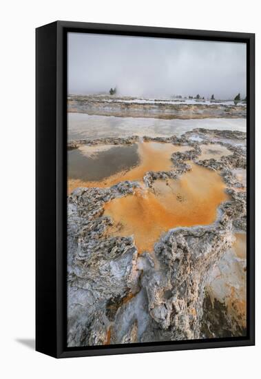 Colorful travertine formations at Great Fountain Geyser, Yellowstone National Park.-Alan Majchrowicz-Framed Premier Image Canvas