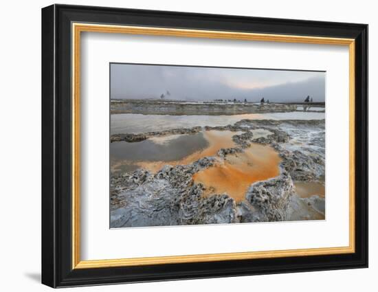 Colorful travertine formations at Great Fountain Geyser, Yellowstone National Park.-Alan Majchrowicz-Framed Photographic Print