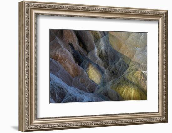 Colorful travertine slope with cyanobacteria, Mammoth Hot Springs, Yellowstone National Park.-Adam Jones-Framed Photographic Print