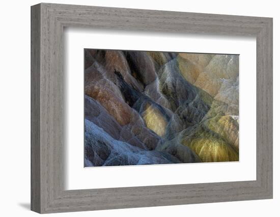 Colorful travertine slope with cyanobacteria, Mammoth Hot Springs, Yellowstone National Park.-Adam Jones-Framed Photographic Print