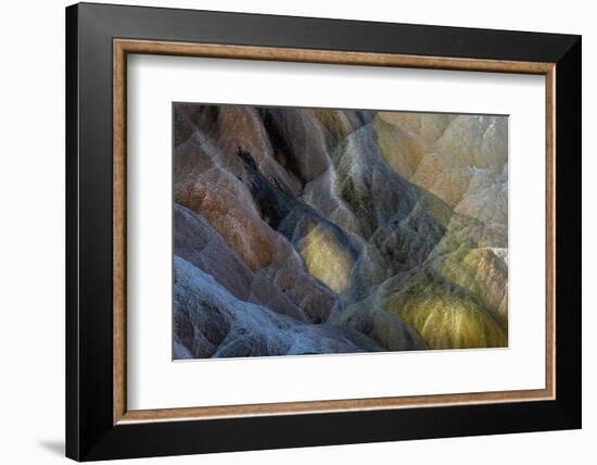 Colorful travertine slope with cyanobacteria, Mammoth Hot Springs, Yellowstone National Park.-Adam Jones-Framed Photographic Print