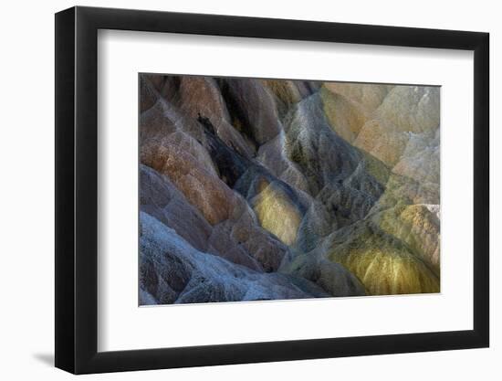 Colorful travertine slope with cyanobacteria, Mammoth Hot Springs, Yellowstone National Park.-Adam Jones-Framed Photographic Print