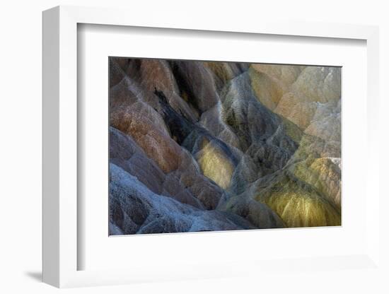 Colorful travertine slope with cyanobacteria, Mammoth Hot Springs, Yellowstone National Park.-Adam Jones-Framed Photographic Print