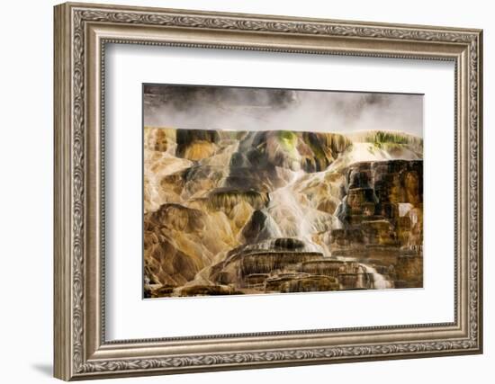 Colorful travertine slope with cyanobacteria, Mammoth Hot Springs, Yellowstone National Park.-Adam Jones-Framed Photographic Print