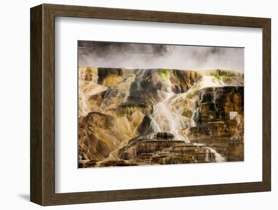 Colorful travertine slope with cyanobacteria, Mammoth Hot Springs, Yellowstone National Park.-Adam Jones-Framed Photographic Print