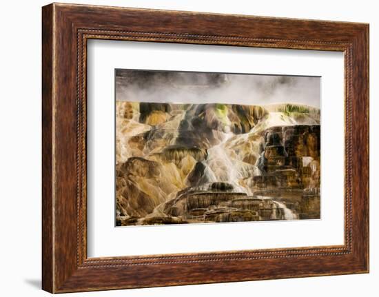 Colorful travertine slope with cyanobacteria, Mammoth Hot Springs, Yellowstone National Park.-Adam Jones-Framed Photographic Print