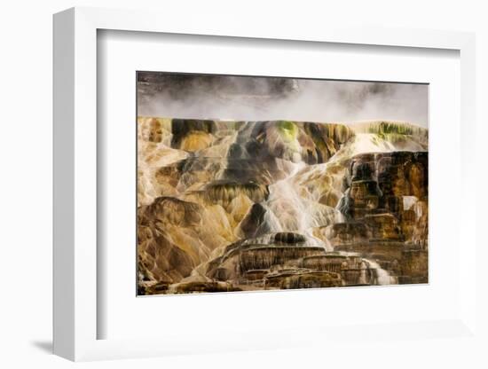 Colorful travertine slope with cyanobacteria, Mammoth Hot Springs, Yellowstone National Park.-Adam Jones-Framed Photographic Print