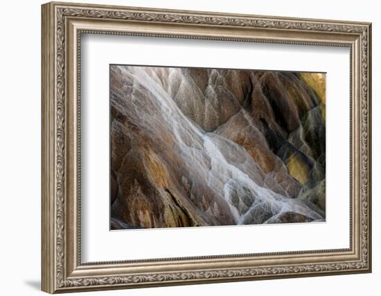 Colorful travertine slope with cyanobacteria, Mammoth Hot Springs, Yellowstone National Park.-Adam Jones-Framed Photographic Print