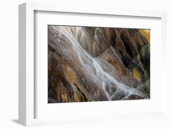 Colorful travertine slope with cyanobacteria, Mammoth Hot Springs, Yellowstone National Park.-Adam Jones-Framed Photographic Print