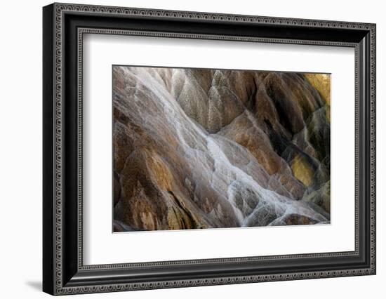 Colorful travertine slope with cyanobacteria, Mammoth Hot Springs, Yellowstone National Park.-Adam Jones-Framed Photographic Print