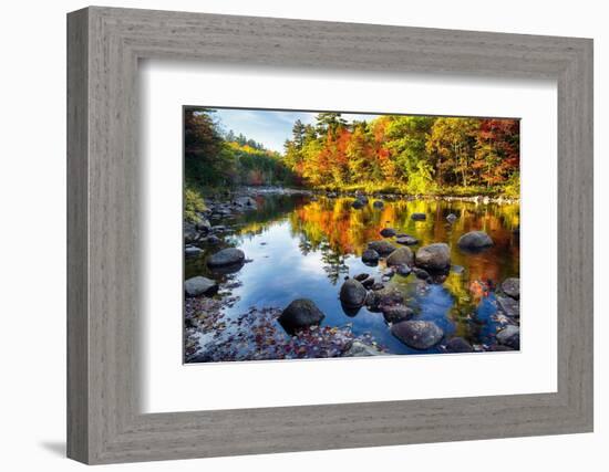 Colorful Trees Along the Swift River New Hampshire-George Oze-Framed Photographic Print