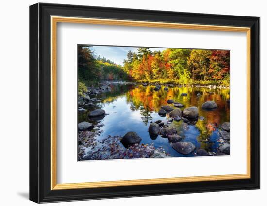Colorful Trees Along the Swift River New Hampshire-George Oze-Framed Photographic Print