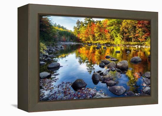 Colorful Trees Along the Swift River New Hampshire-George Oze-Framed Premier Image Canvas