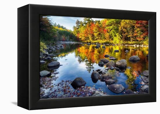 Colorful Trees Along the Swift River New Hampshire-George Oze-Framed Premier Image Canvas