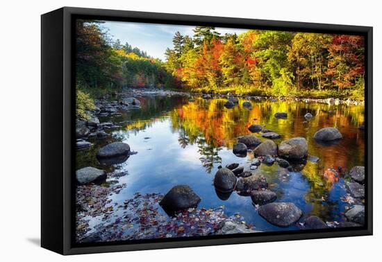 Colorful Trees Along the Swift River New Hampshire-George Oze-Framed Premier Image Canvas