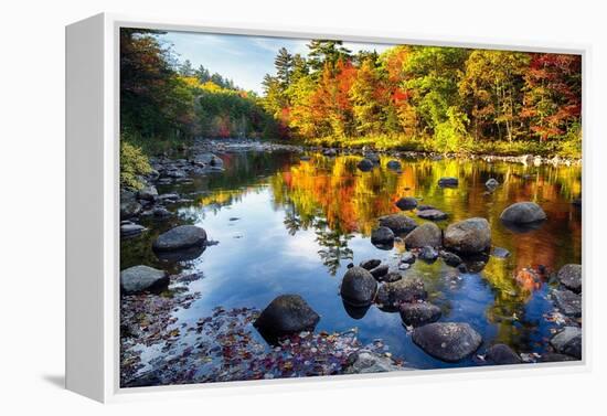 Colorful Trees Along the Swift River New Hampshire-George Oze-Framed Premier Image Canvas