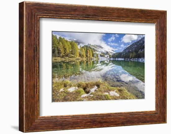 Colorful Trees and Snowy Peaks Reflected in Lai Da Palpuogna, Switzerland-Roberto Moiola-Framed Photographic Print